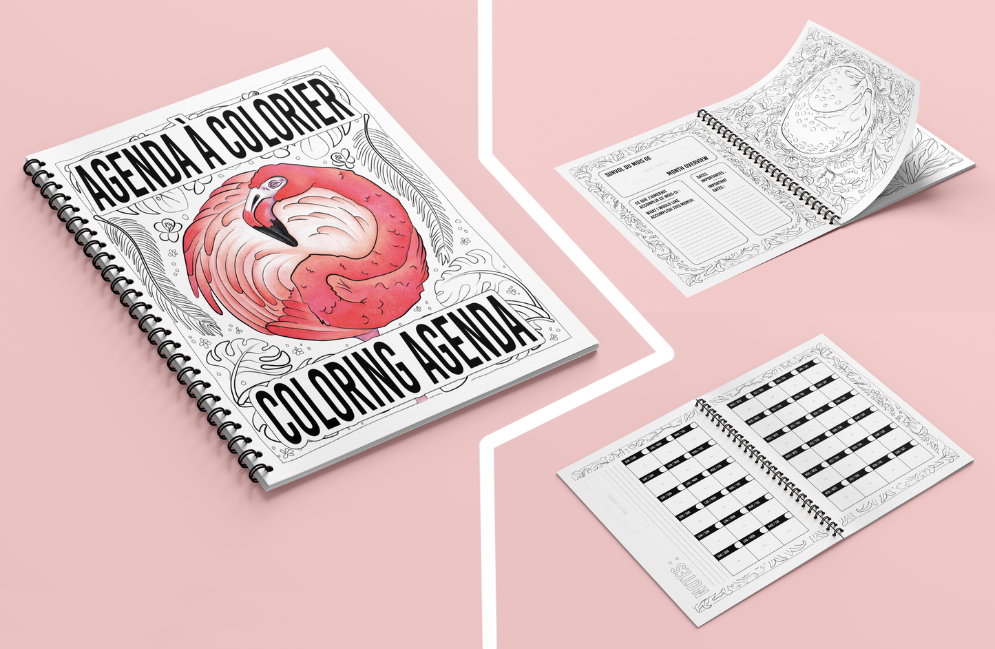 Undated Coloring Agenda bilingual