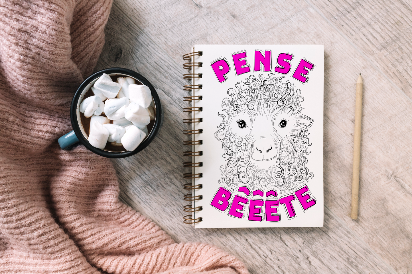 Pense bêêête – Journal de projets tricot